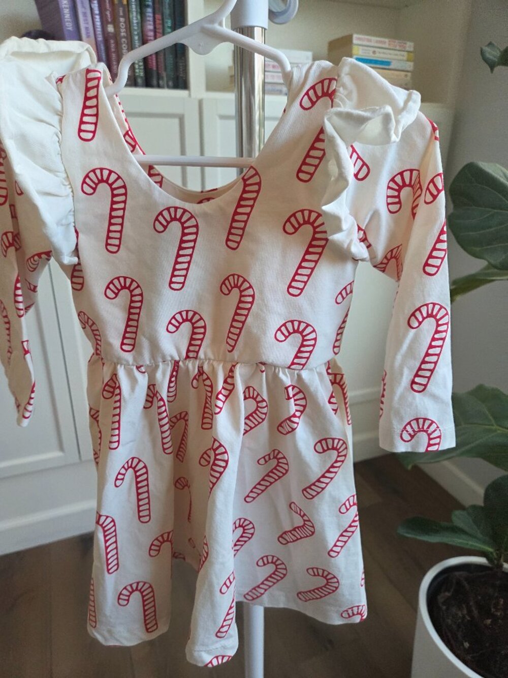 Monica and Andy holiday dress